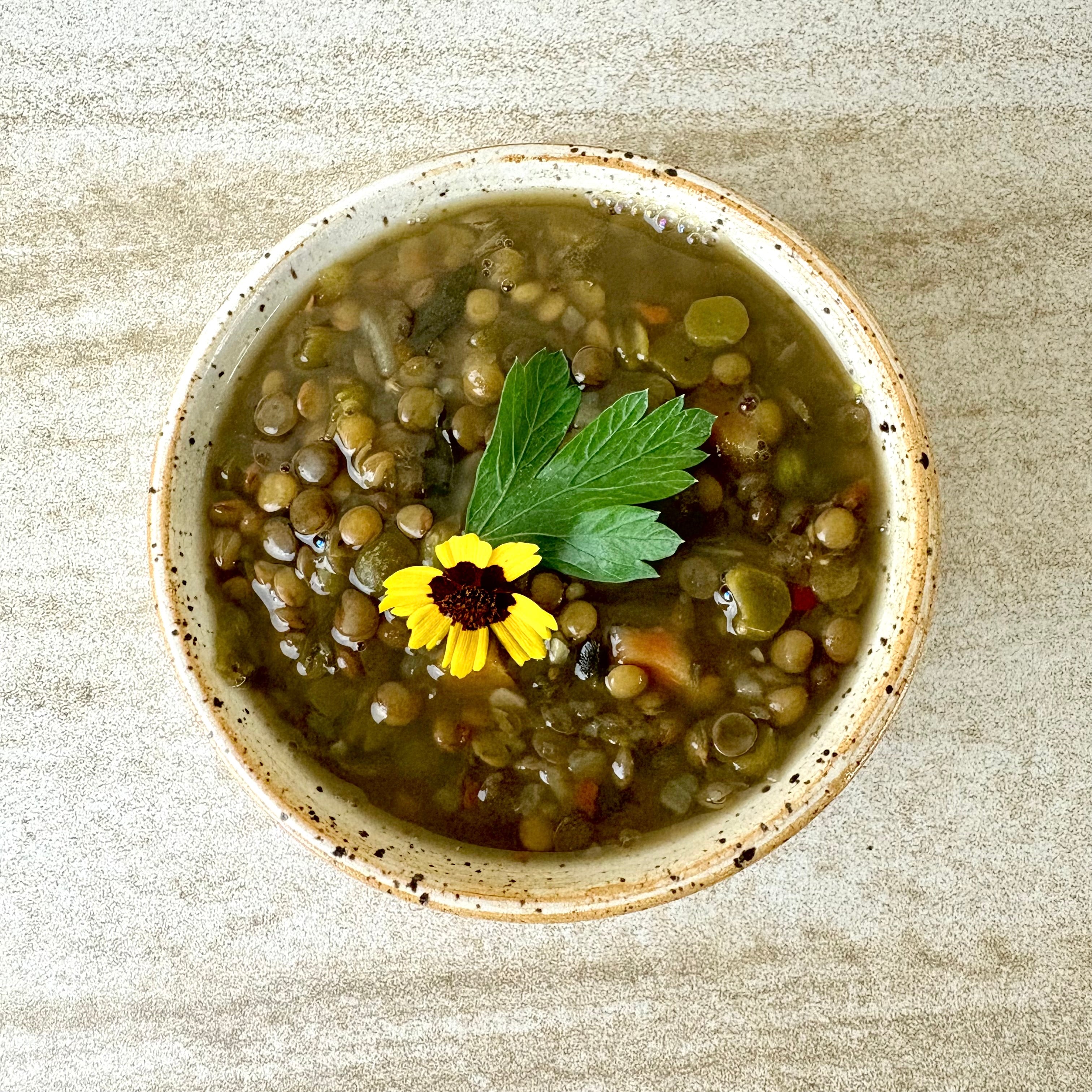 FRANCISCAN SOUP: POTAGES AUX LEGUMES