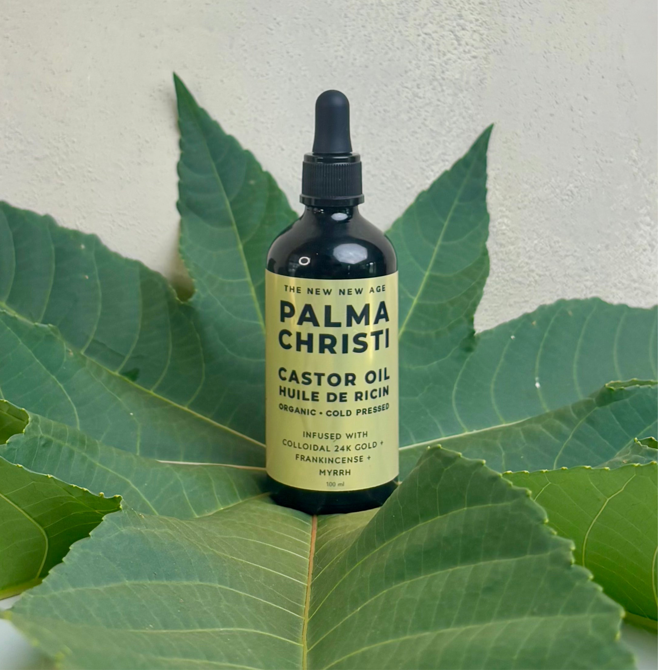 Palma Christi castor oil by The New New Age