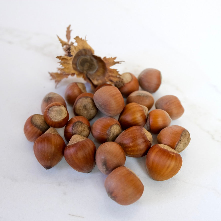 HAZEL NUTS