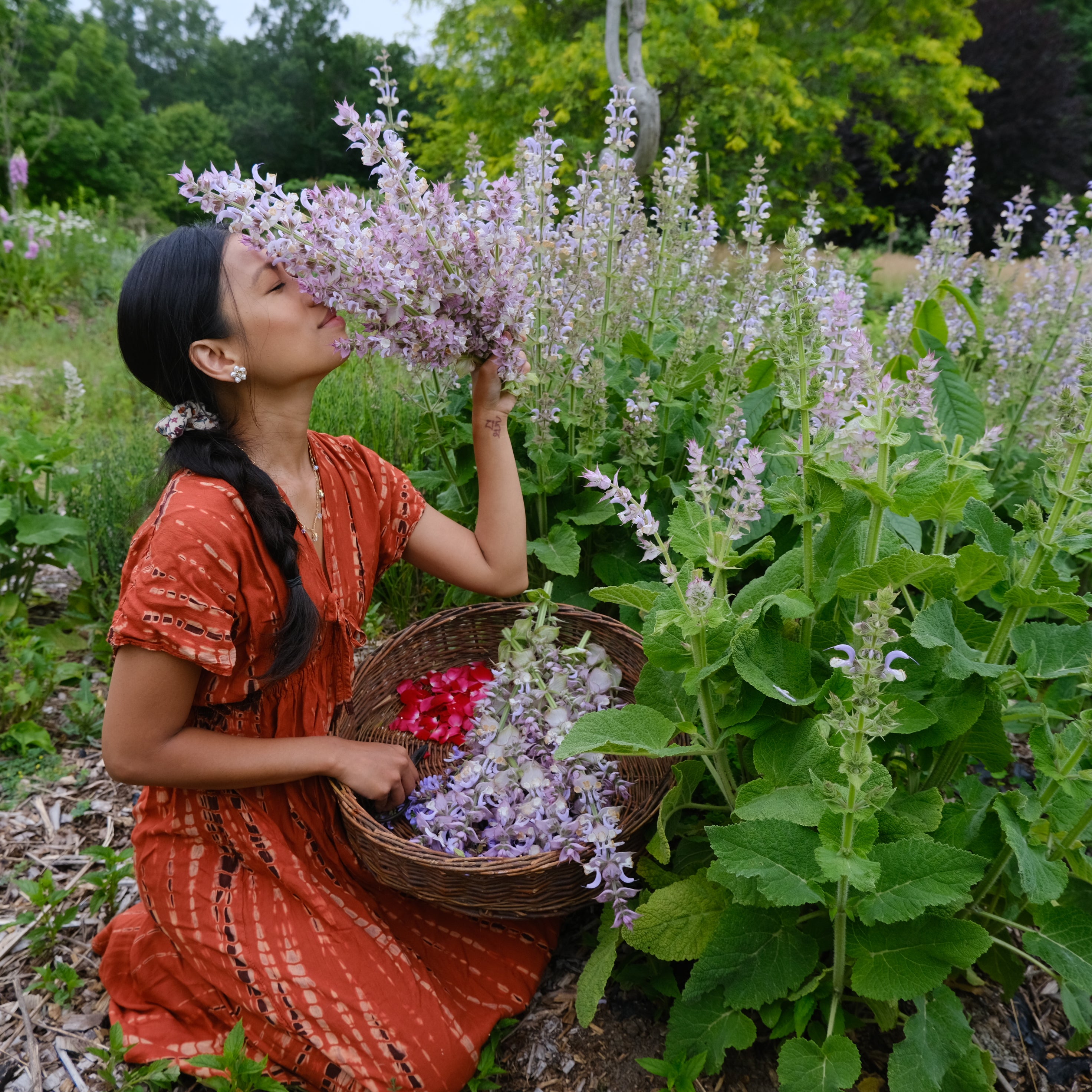 Clary sage from The New New Age Farm