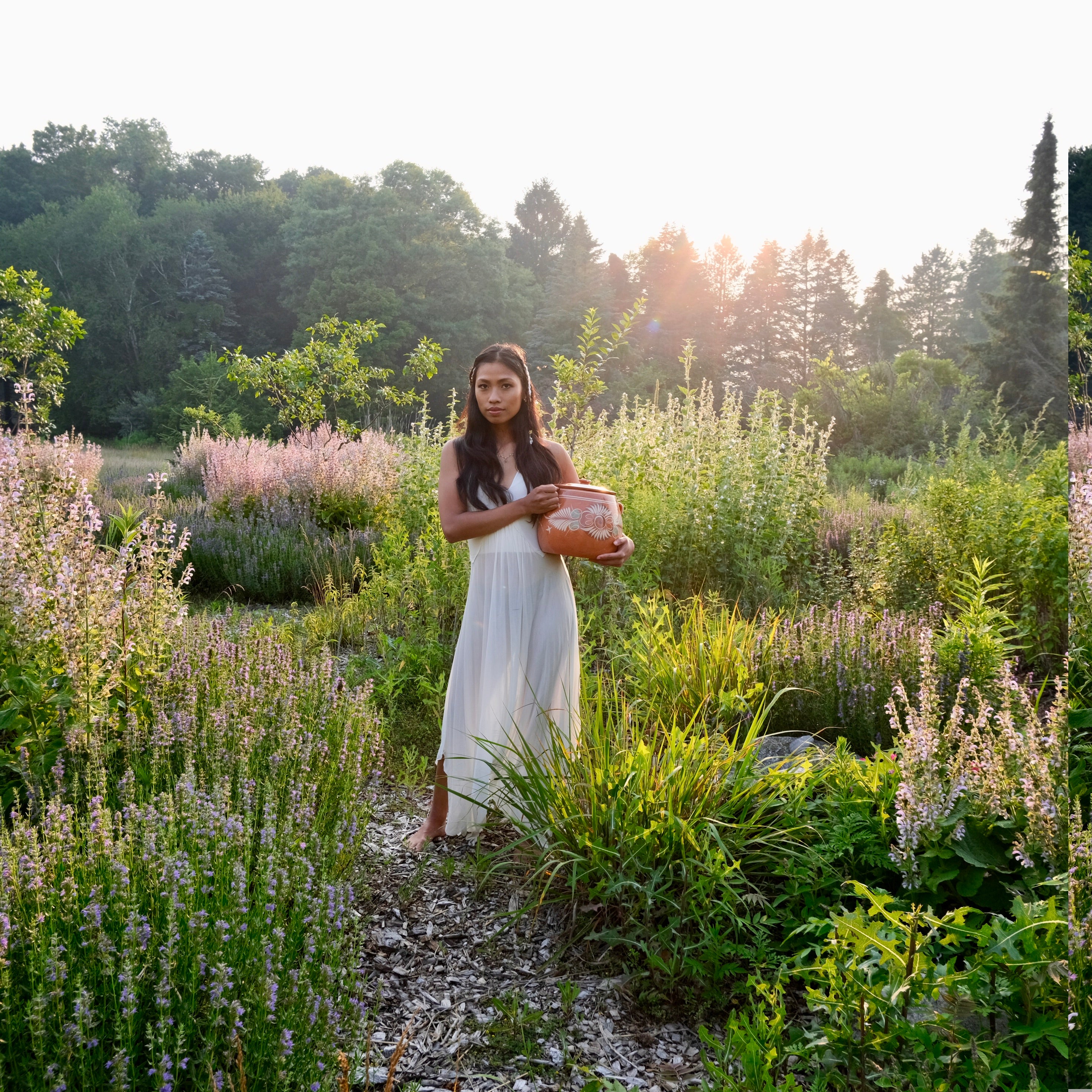 LAVENDER FLOWER ESSENCES IN ORGANIC CANE SUGAR