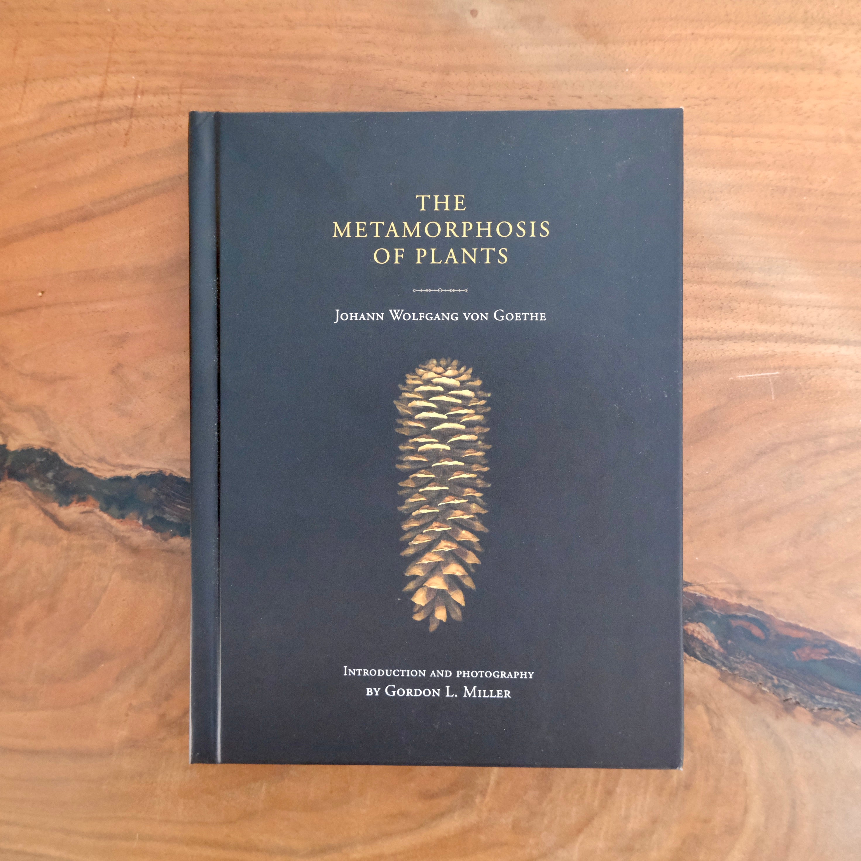 The Metamorphosis of Plants