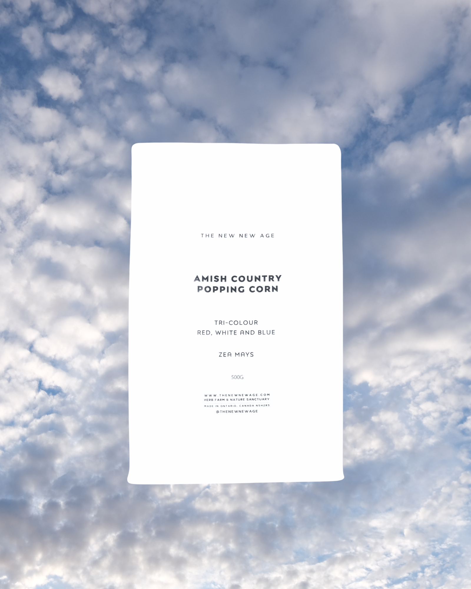 Popcorn from The New New Age