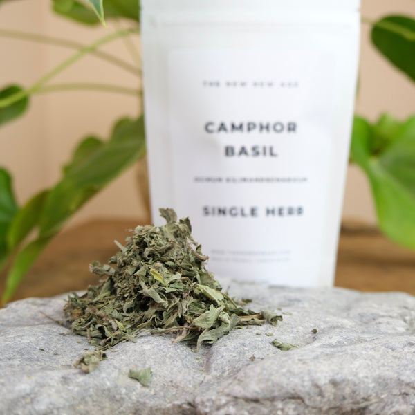 CAMPHOR BASIL THE NEW NEW AGE