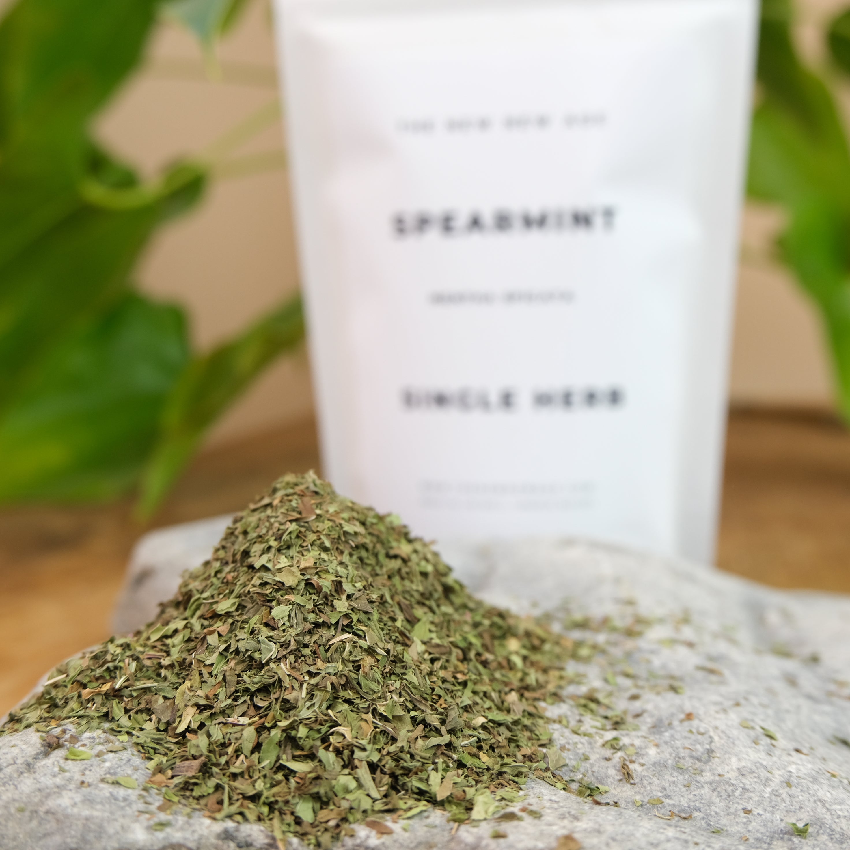 Spearmint from The New New Age Herb Farm