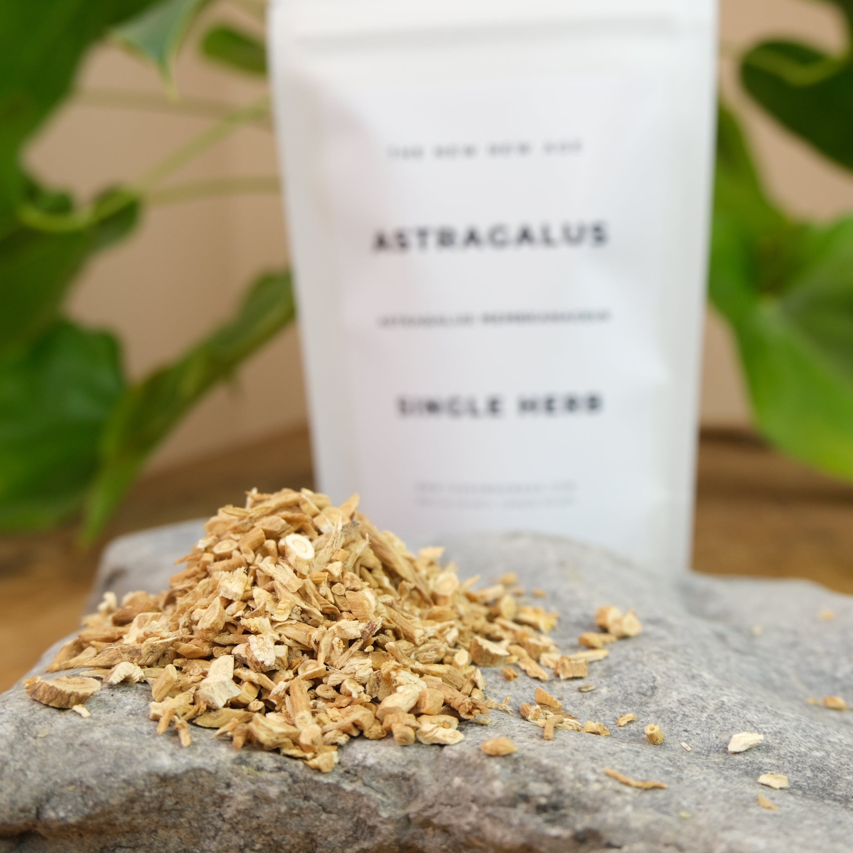 ASTRAGALUS