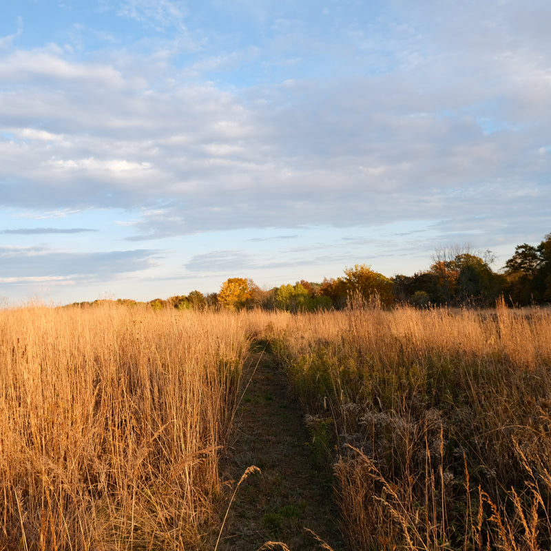 EVENING BREEZE NATURE RETREAT