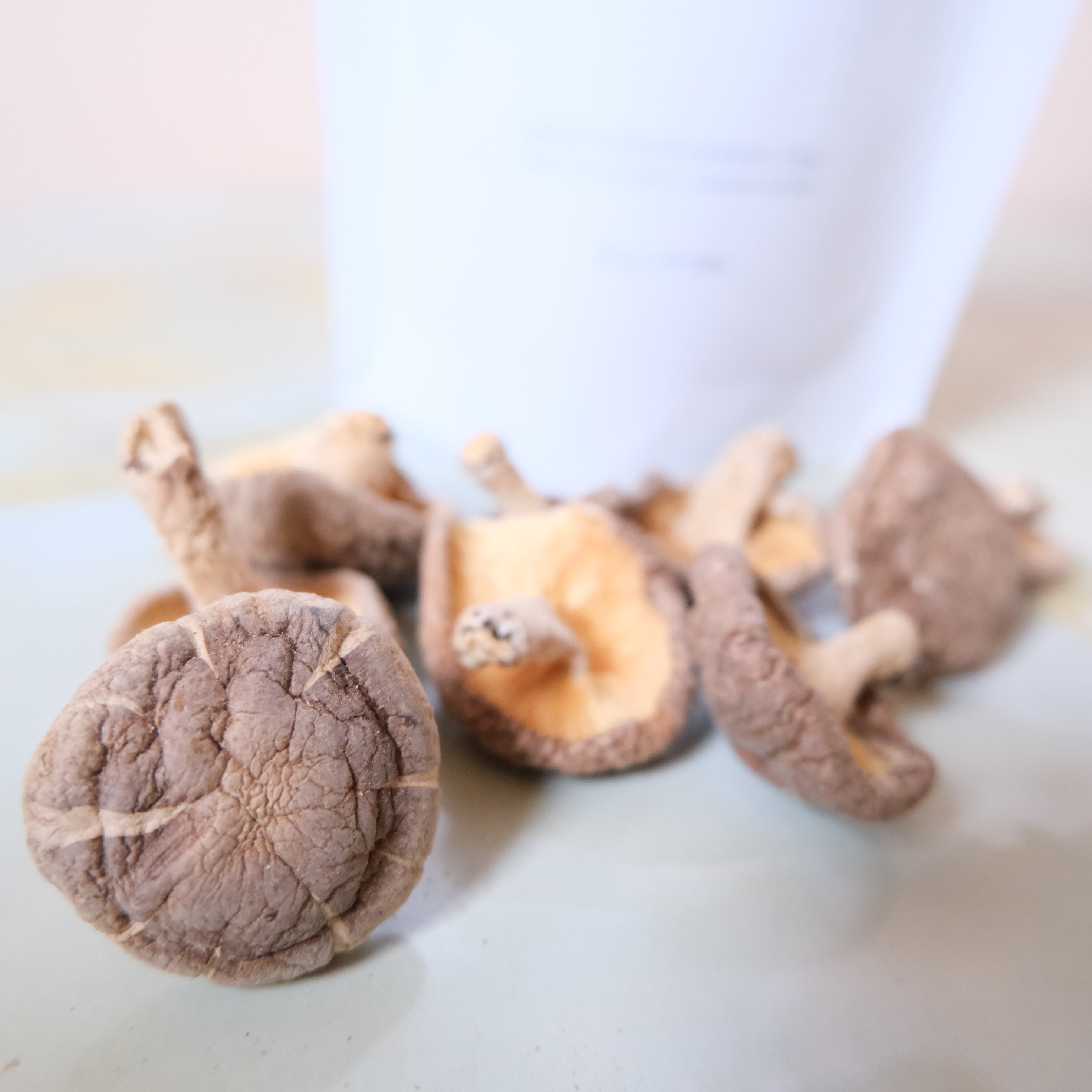 SHIITAKE