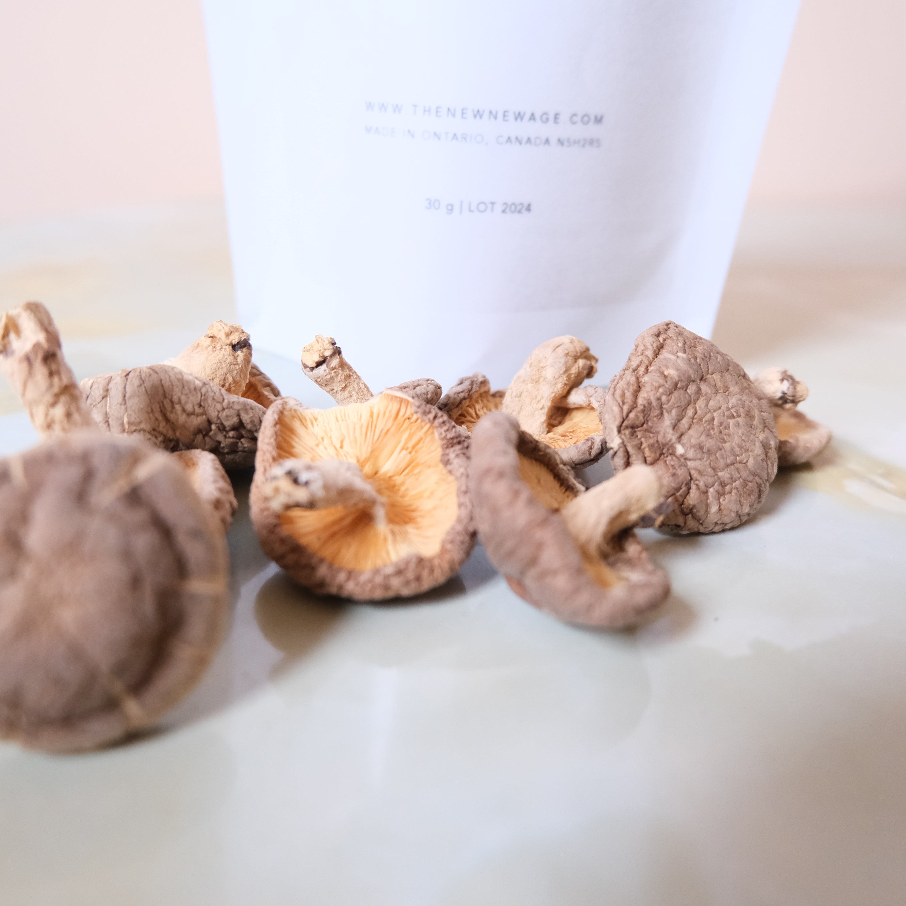 SHIITAKE