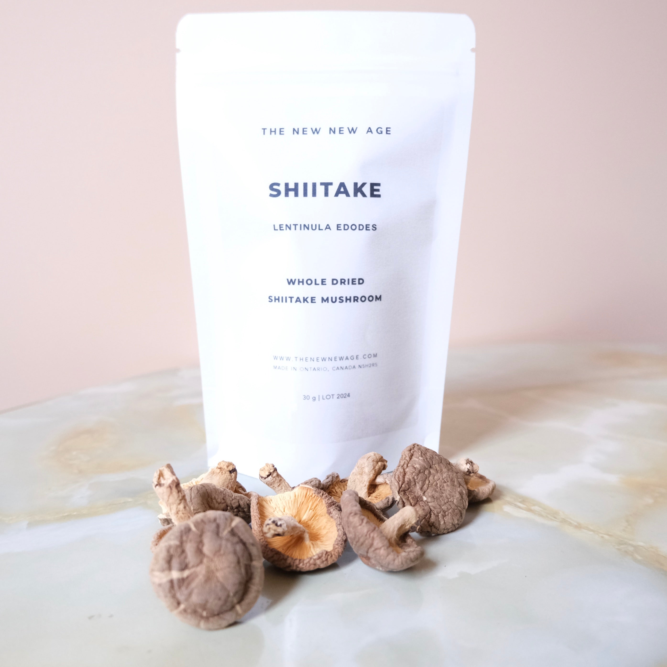 SHIITAKE