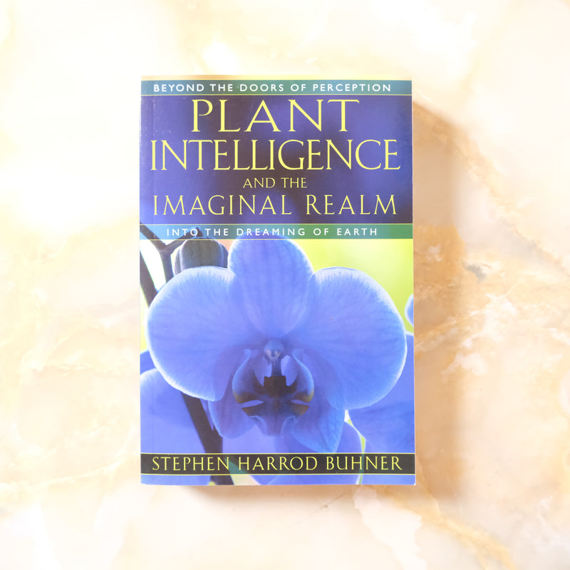 PLANT INTELLIGENCE AND THE IMAGINAL REALM