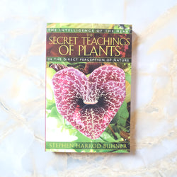 THE SECRET TEACHINGS OF PLANTS