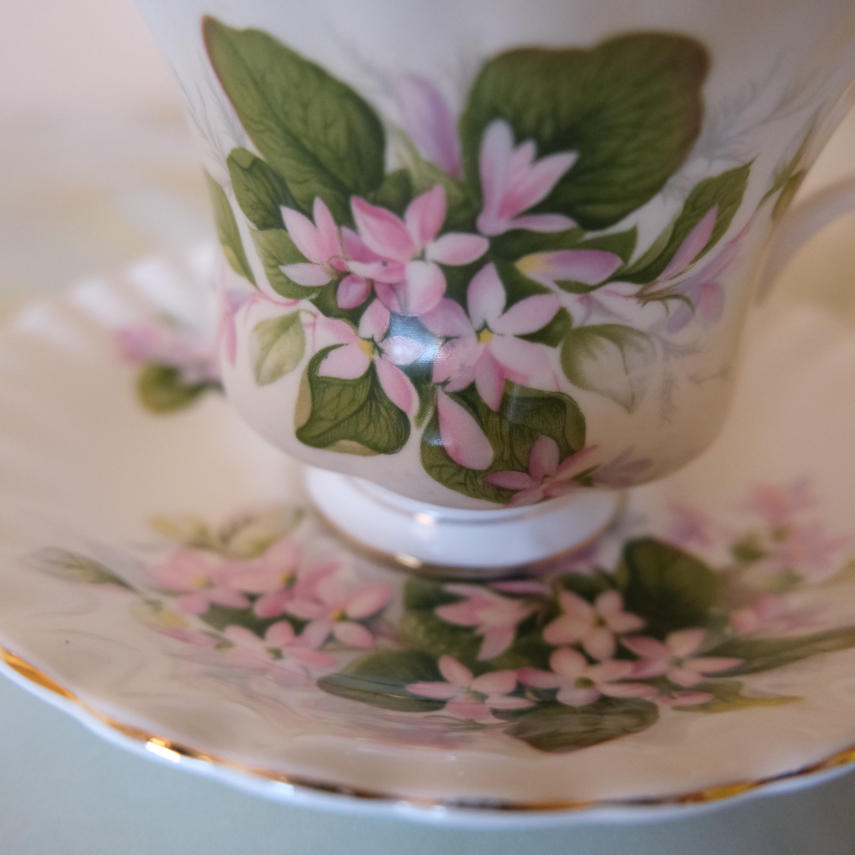 Royal Albert Bone China Tea Cup and Saucer: Mayflower