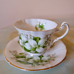 Royal Albert Bone China Tea Cup and Saucer: Trillium