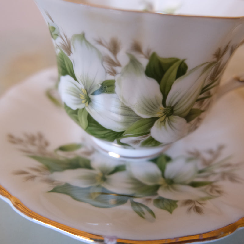 Royal Albert Bone China Tea Cup and Saucer: Trillium