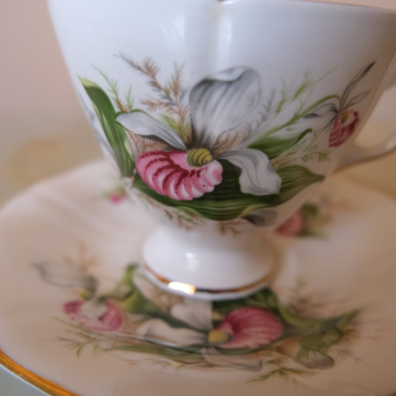 Royal Albert Bone China Tea Cup and Saucer: Ladyslipper Orchid