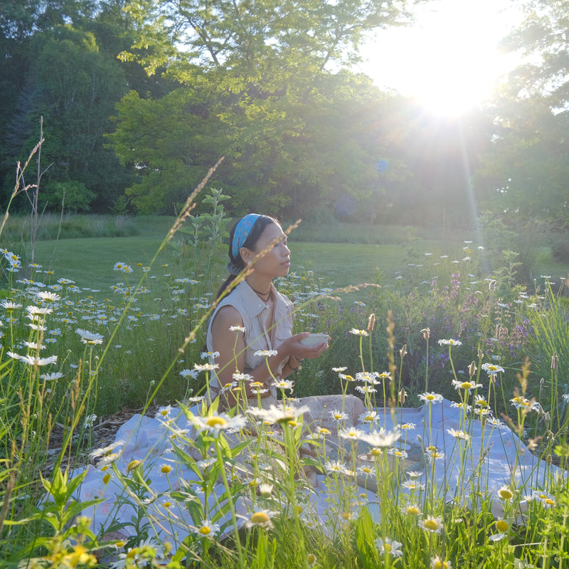 EVENING BREEZE NATURE RETREAT