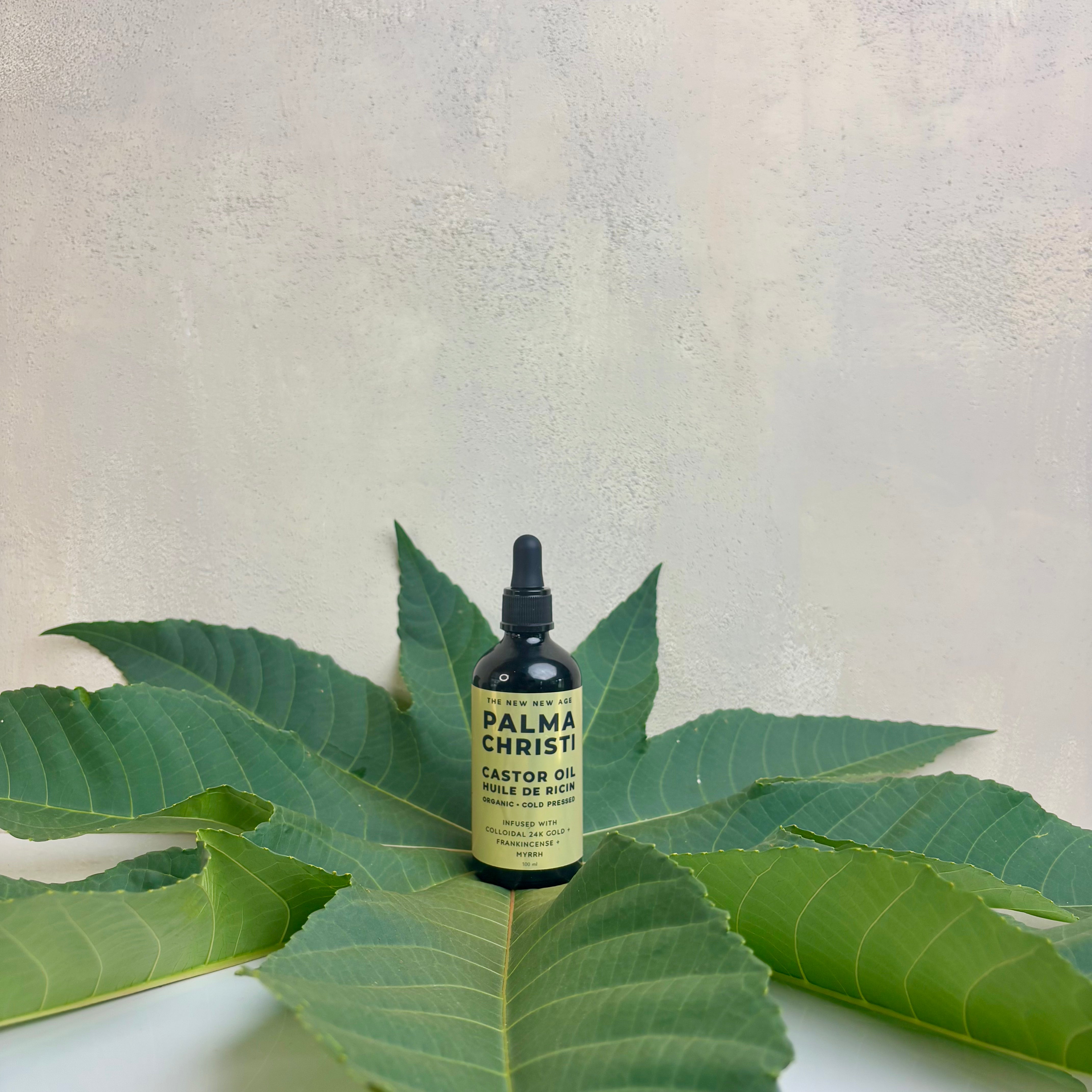 Palma Christi castor oil by The New New Age