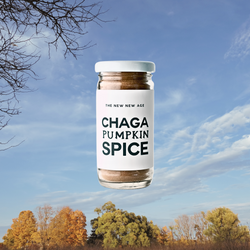 Chaga Pumpkin Spice from The New New Age 