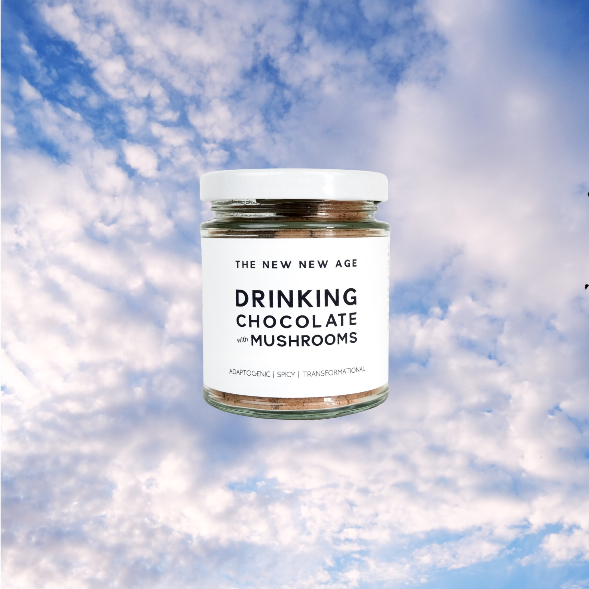 DRINKING CHOCOLATE with MUSHROOMS