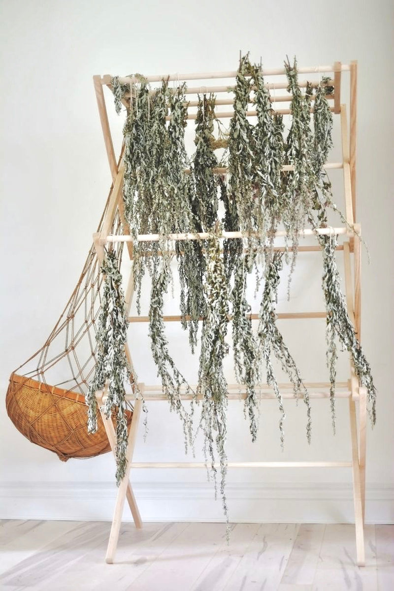 Mugwort on a drying rack from The New New Age Herb Farm