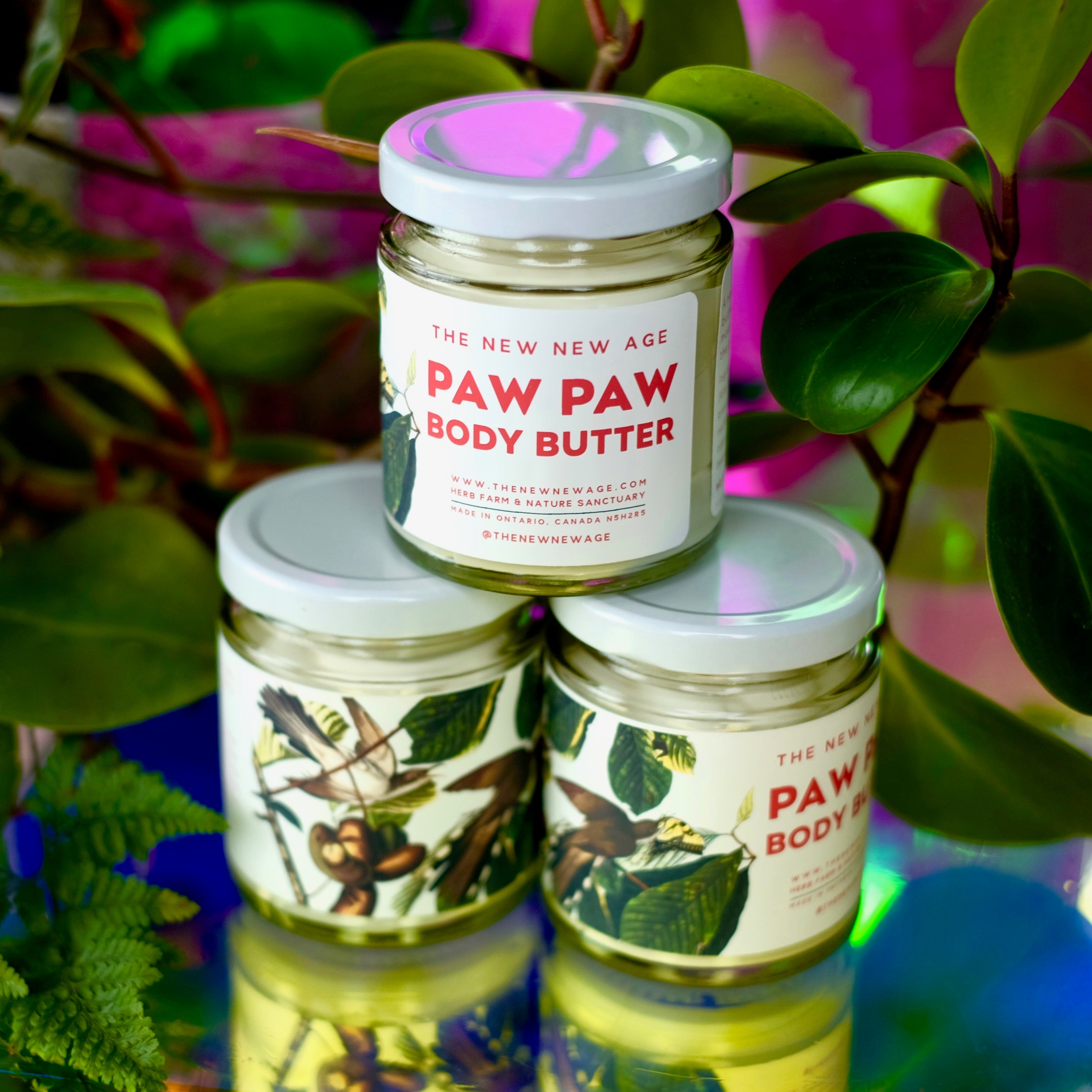 Paw Paw Body Butter