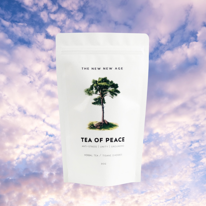 TEA OF PEACE // pine + reishi tea