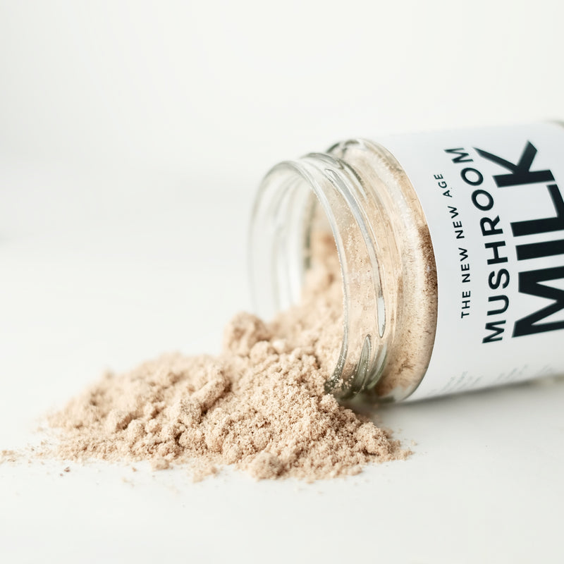 A close up of an organic herbal powder instant beverage, formulated by The New New Age. Mushroom Milk is a delicious blend of dehydrated organic coconut milk and 6 medicinal mushroom extract powders (chaga and reishi dual extract, lions mane, maitake, cordyceps, and turkey tail). Mushroom Milk is a creamy, nourishing instant beverage with immune and adaptogenic support.