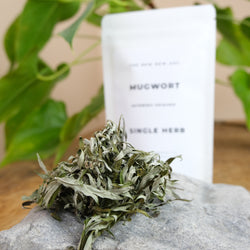 Mugwort from The New New Age Herb Farm