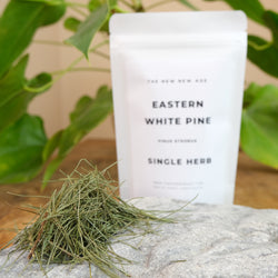 Eastern White Pine from The New New Age Herb Farm