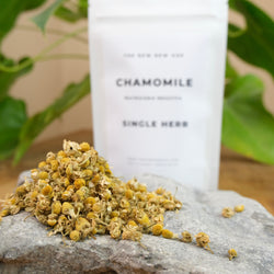 Chamomile from The New New Age Herb Farm